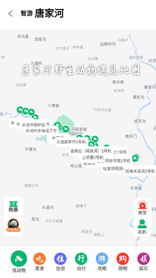 智游青川APP