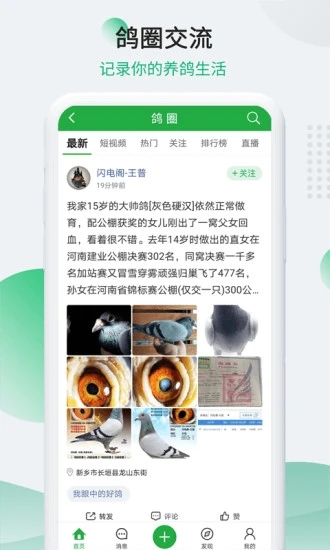 中国信鸽信息网官方app