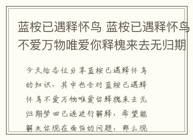 蓝桉已遇释怀鸟 蓝桉已遇释怀鸟不爱万物唯爱你释槐来去无归期梦回已逐