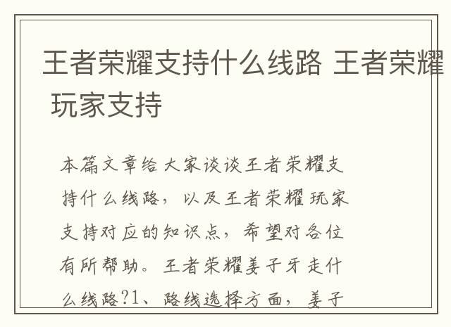 王者荣耀支持什么线路 王者荣耀 玩家支持