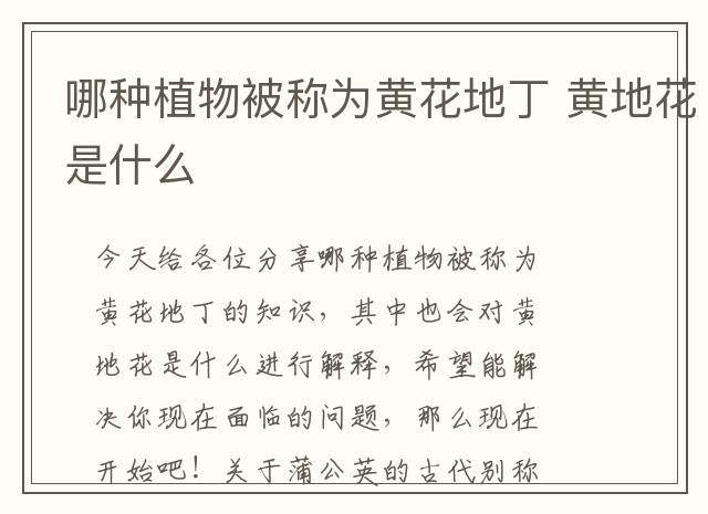 哪种植物被称为黄花地丁 黄地花是什么