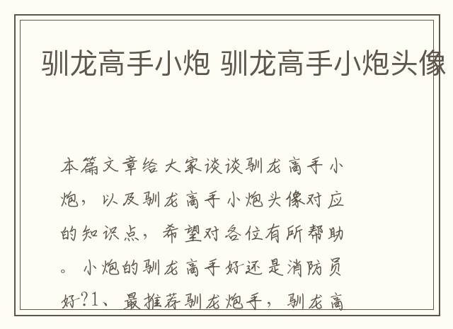 驯龙高手小炮 驯龙高手小炮头像