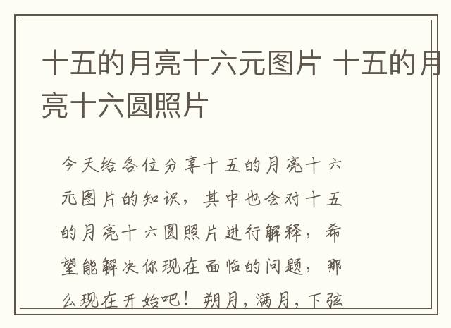 十五的月亮十六元图片 十五的月亮十六圆照片
